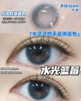 （月抛）Kikicon 水光蓝莓 14.2mm 着色13.3mm