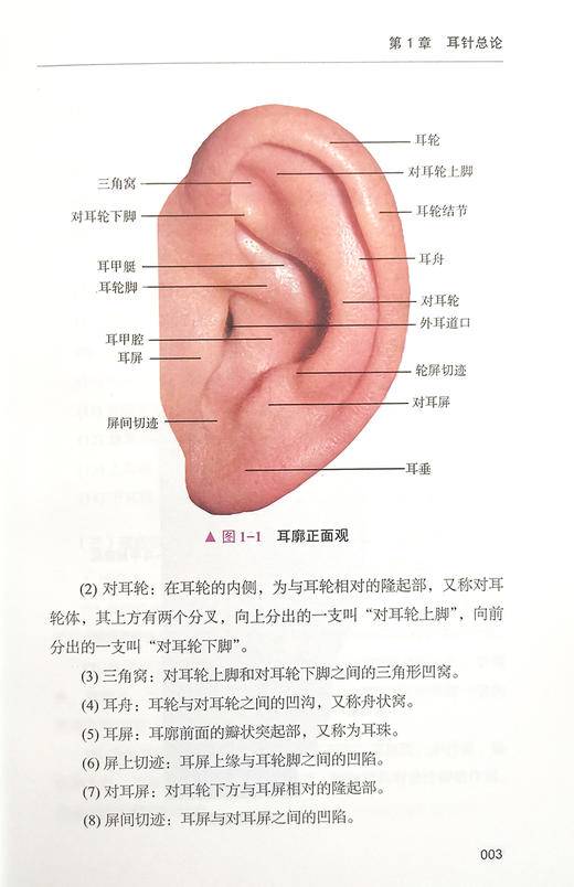 图解耳针疗法 郭长青 郭妍 主编 中医学书籍 耳针疗法中医针灸穴位临床疾病诊治内外妇儿科 中国科学技术出版社9787504694720 商品图4