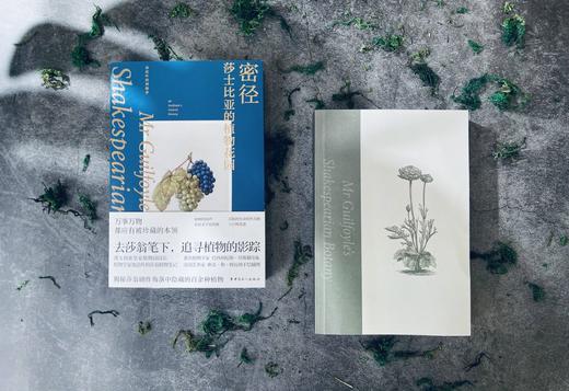 密径：莎士比亚的植物花园 商品图2