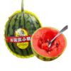 小吊瓜 冰淇淋小西瓜  红肉 商品缩略图4