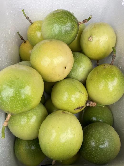 【39.9元团30个】钦蜜9号黄金百香果 直接吃都很甜，放皱后更好吃 商品图5