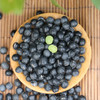 【山区杂粮】密农人家绿心黑豆  不抛光不染色  适合煮粥、打豆浆、发豆芽  黑豆  350g 商品缩略图1