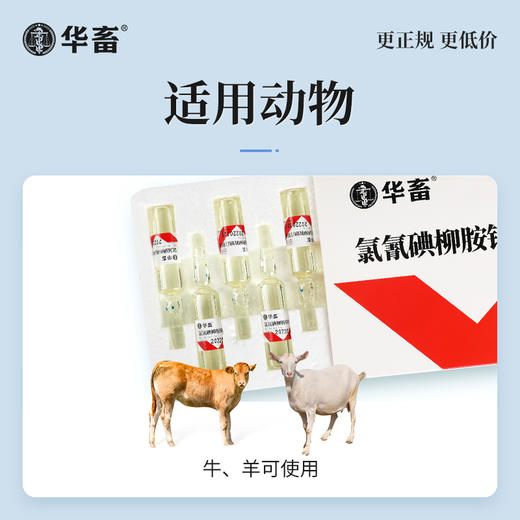 华畜5%氯氰碘柳氨钠注射液10ml*10支 肝片吸虫 牛羊驱虫药 商品图1