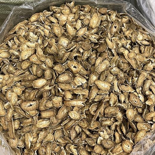 牛蒡根茶 商品图3