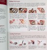 【中商原版】艺术寿司食谱 英文原版 Sushi Art Cookbook: The Complete Guide to Kazari Sushi 商品缩略图5