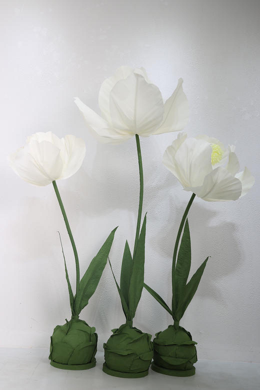 郁金香（运费自理） 商品图1