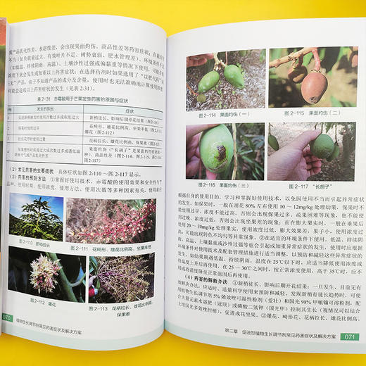 植物生长调节剂常见药害症状及解决方案 商品图5