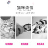 伊丽莎白圈 棉脖套 猫咪围脖套犬猫通用防抓猫狗项圈 防护圈美容罩 商品缩略图5