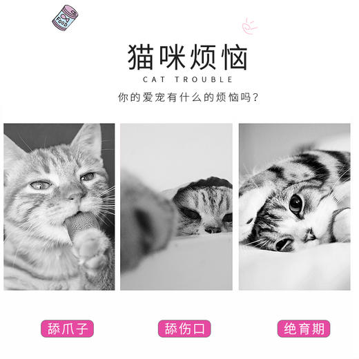 伊丽莎白圈 棉脖套 猫咪围脖套犬猫通用防抓猫狗项圈 防护圈美容罩 商品图5