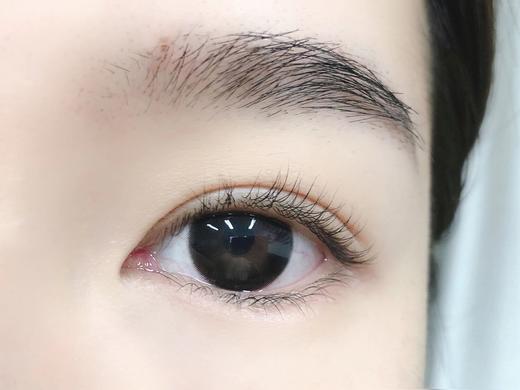 （月抛）Kikicon 黑泡芙 14.5mm 着色13.7mm 商品图2