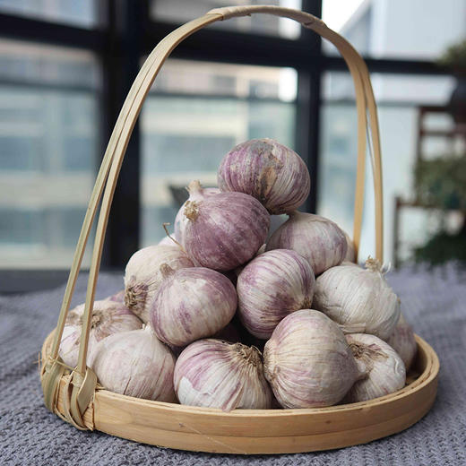 【大理紫皮独头蒜】早春当季鲜蒜大蒜蒜头 商品图3