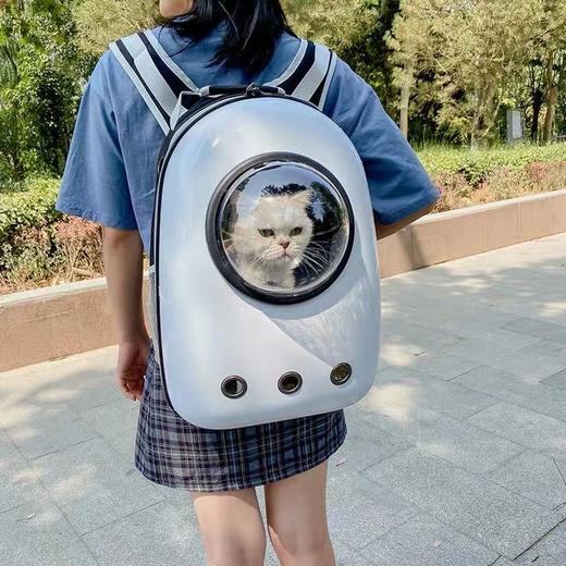 猫包外出双肩包太空舱宠物包装猫背包猫咪外出包便携太空包透明包 商品图9