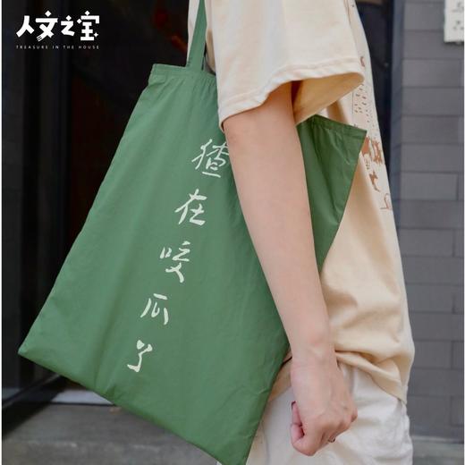 【人文之宝】闰土刺猹绿色杜邦纸袋 商品图3
