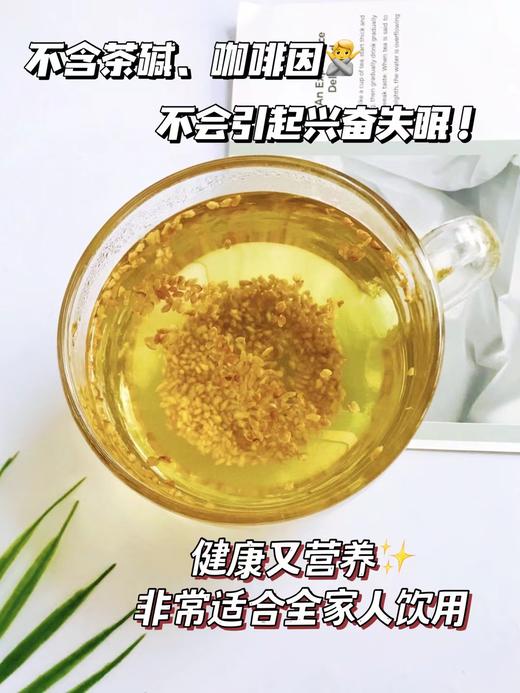 四川大凉山·黑苦荞茶 商品图4