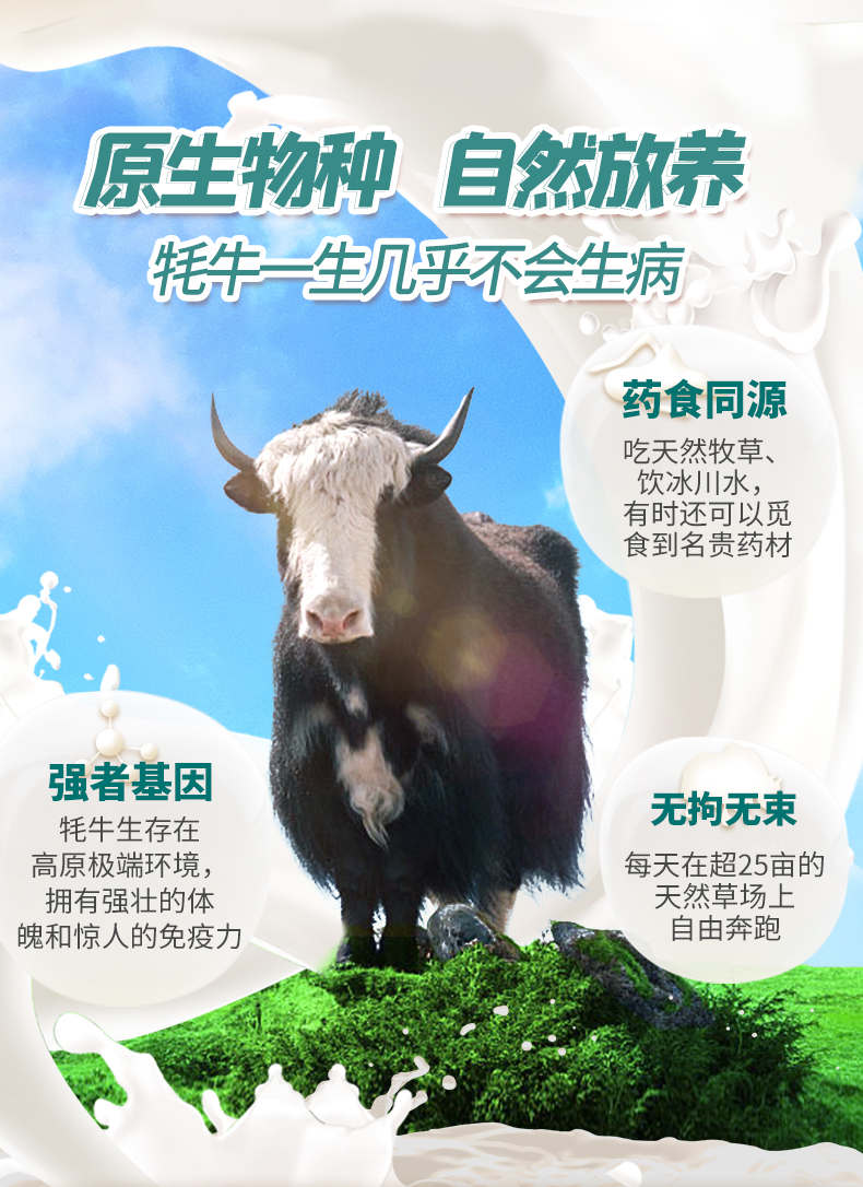 青藏祁莲祁连山牦牛纯牛奶牦牛奶含量60250ml12盒2箱