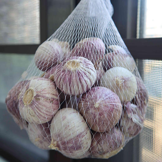 【大理紫皮独头蒜】早春当季鲜蒜大蒜蒜头 商品图4