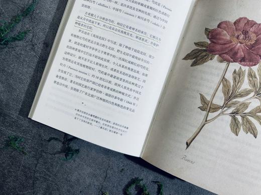 密径：莎士比亚的植物花园 商品图3