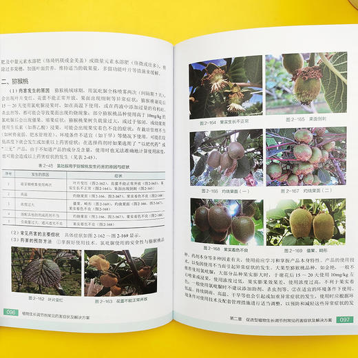 植物生长调节剂常见药害症状及解决方案 商品图6