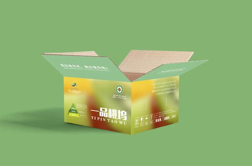 有机黑布林李子含箱子5斤装 商品图4