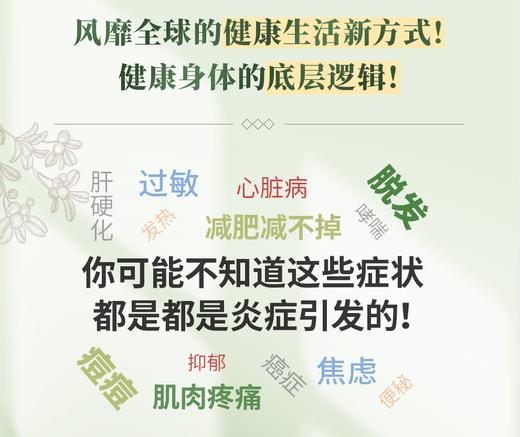 抗炎反击老胖累大多数健康问题都来自身体内部的炎症不同体质抗炎方案了解身体的底层逻辑养成好体质保健养生书籍 商品图2