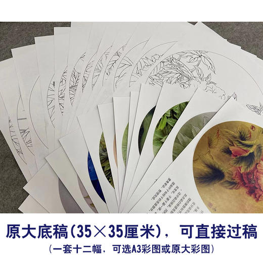 龚雪青工笔花鸟画白描底稿牡丹十二妃小品一套十二幅册页尺寸35×35厘米XQ99 商品图2