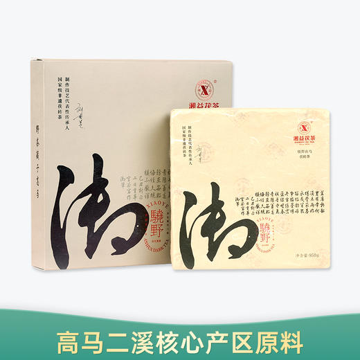 【会员日直播】湘益茯茶 黑茶 2021年 骁野高马 950g 商品图0