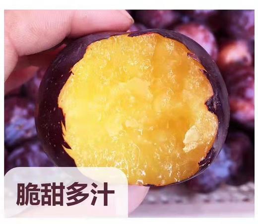 有机黑布林李子含箱子5斤装 商品图1