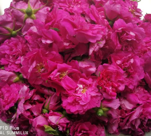 玫瑰鲜花饼，自种玫瑰园，玫瑰花通过200多项农残检测，善地善行 商品图4