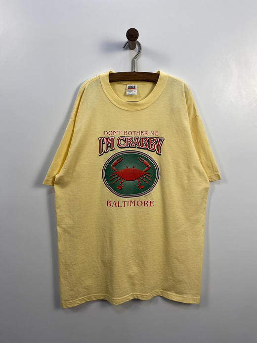 90年代 Vintage anvil 美国制 短袖T恤 _PST(L) 商品图1