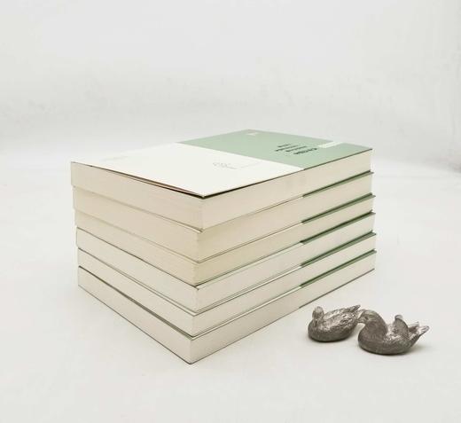 中国边疆史文库：《云南边疆卷》五卷六册：《普思沿边志略 云南省农村调查 云南问题》《云南边地问题研究（上下）》《云南全省边民分布册 西南夷族考察记》《云南勘界筹边记 非常时期之云南边疆》《滇缅界务之北 商品图2