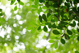 冬病夏养关键期，三伏天该做什么？