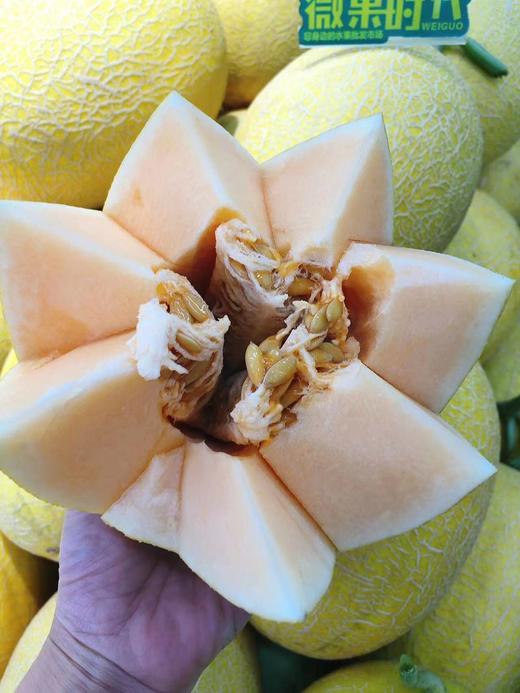 新疆哈密瓜一个（拼团） 商品图1