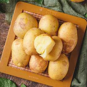 【hjx】土豆 500g