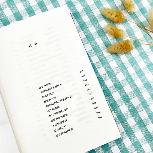 骑鹅旅行记(全译本) 商品图0