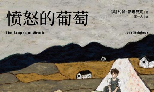 3.《愤怒的葡萄》：一部伟大的社会纪实文学作品，堪称美国版《活着》 商品图0