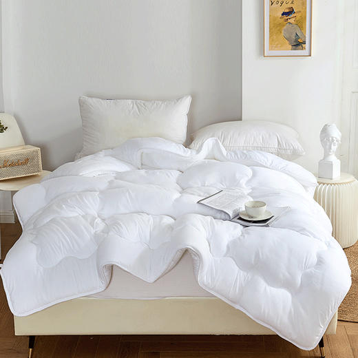 多喜爱  冬被：舒适极暖加厚冬被（白） 商品图1