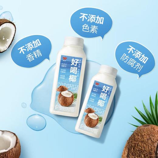 味全 好喝椰 椰子汁 冷藏植物蛋白饮料 300ml/瓶 商品图2