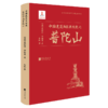 中国建筑与宗教文化之宝塔、祠堂、普陀山 商品缩略图12