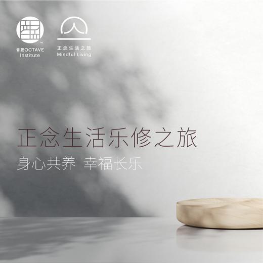 正念生活乐修之旅 “悟能”班（第十一期） 商品图0