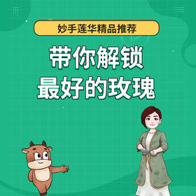 带你解锁最好的玫瑰