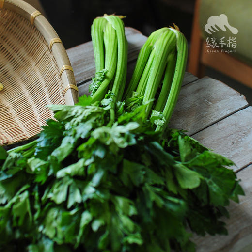 生态河北西芹 | 合作生产*Eco-celery | Coproducted 商品图6