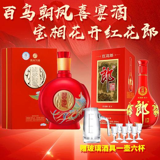 【推荐】郎酒 红花郎十年（第四代）53度 500ml+习酒  窖藏 喜宴 53度 酱香型  500ml单瓶组合装 商品图0