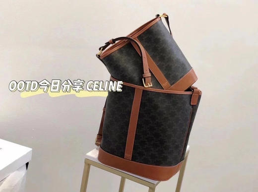 Celine水桶包中号-老花 商品图0