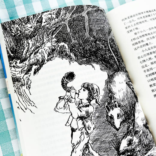 骑鹅旅行记(全译本) 商品图1