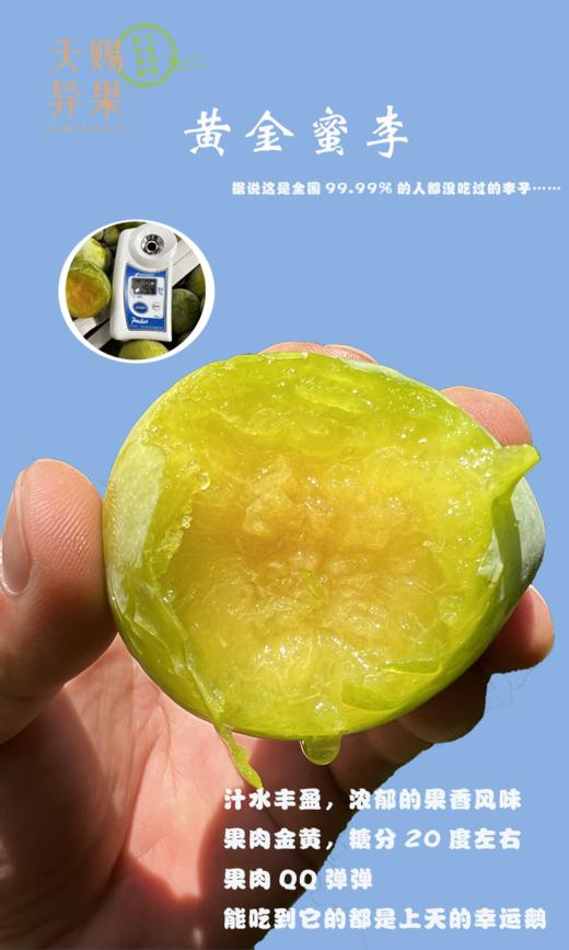 云南黄金蜜李 商品图0