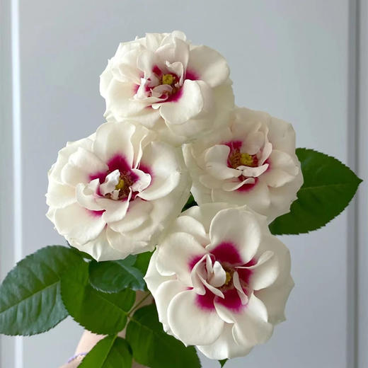 德芮尔桥边之约单头玫瑰花10支 商品图3