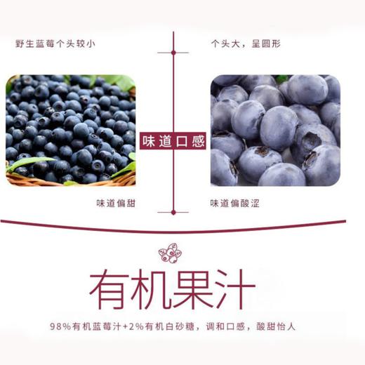山姆 •  蓝莓汁 商品图2