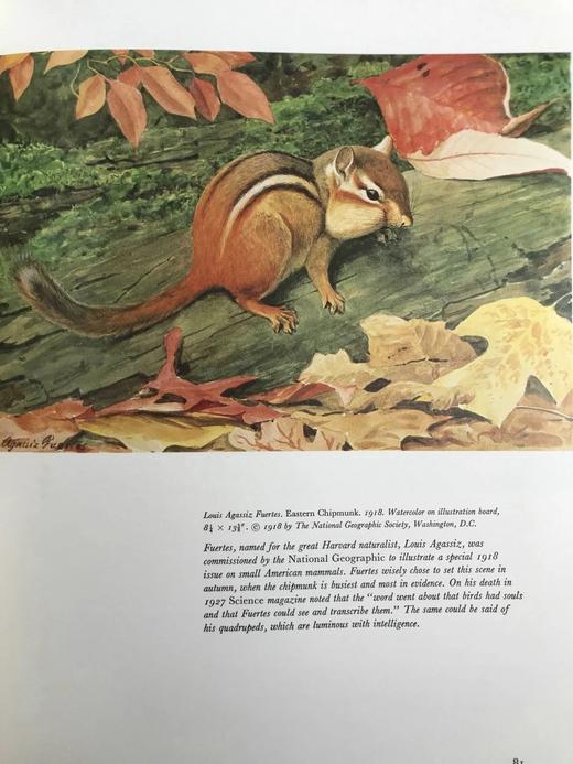 美国动物寓言 198幅插图（73幅彩色） 精装大16开 商品图12