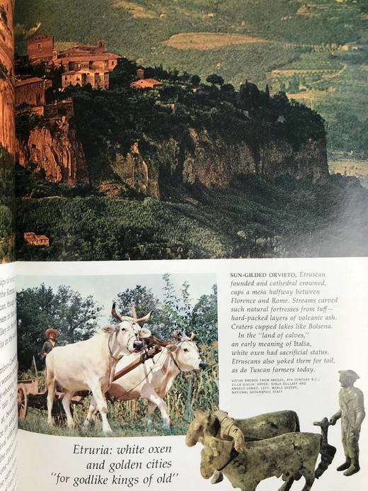 希腊与罗马：我们世界的建立者 541幅插图（440幅彩色） 精装16开 商品图9