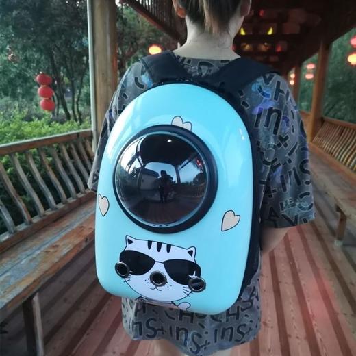 双肩包宠物包太空舱猫包大容量狗包透气背包猫咪包外出便携胸前包 商品图5